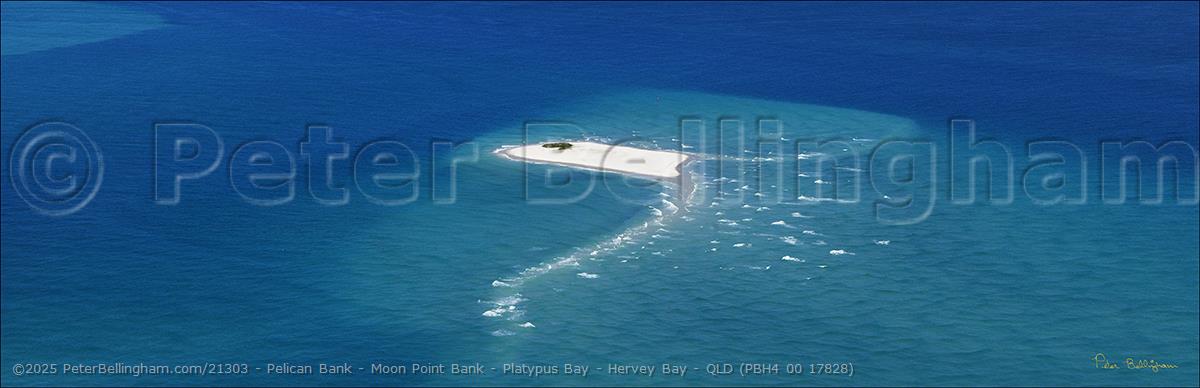 Peter Bellingham Photography Pelican Bank - Moon Point Bank - Platypus Bay - Hervey Bay - QLD (PBH4 00 17828)